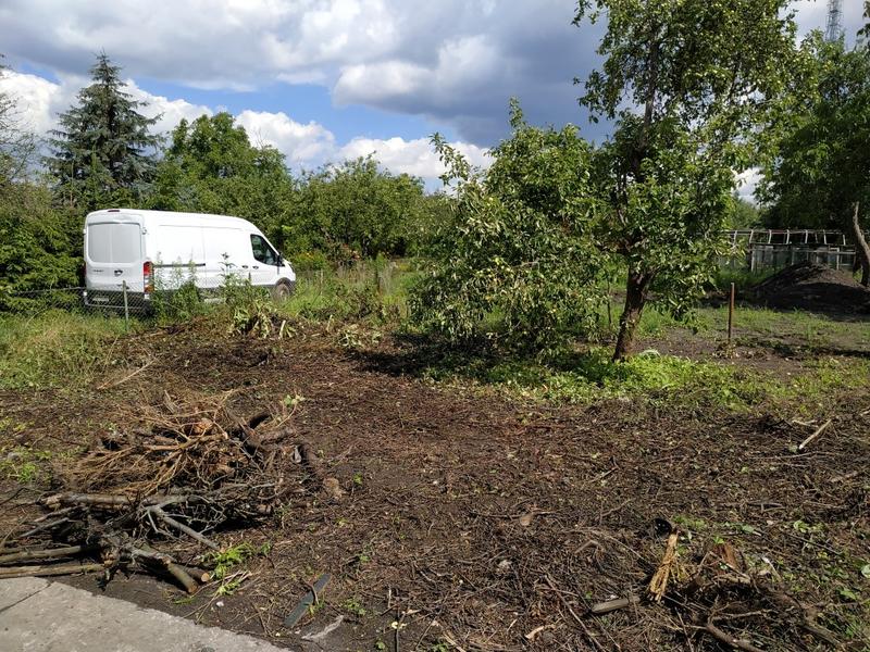 Koszt karczowania działki