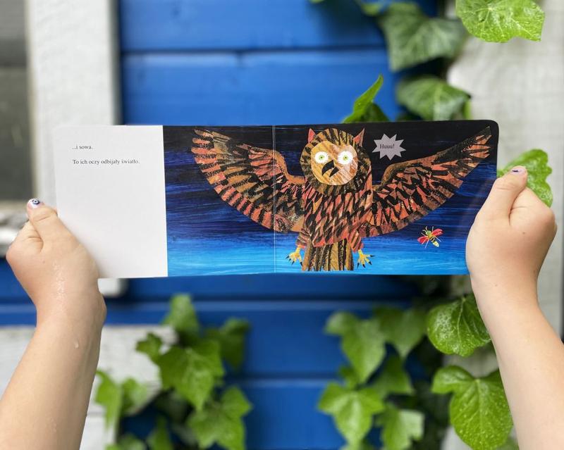 Porównanie typów świetlików