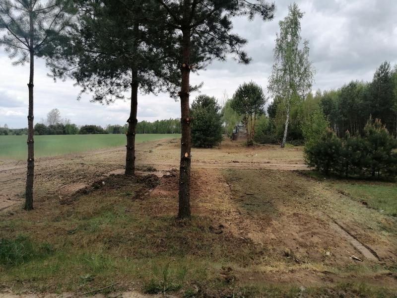 Wycena usługi karczowania