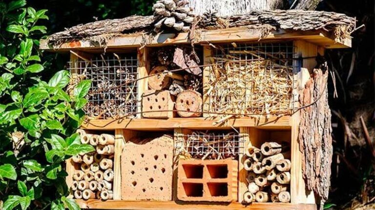 Zbuduj przyjazny zakątek: 5 prostych kroków, aby stworzyć domek na owady w ogrodzie