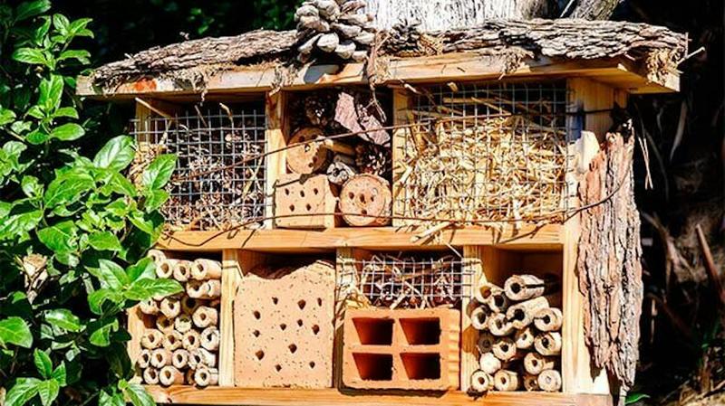 Zbuduj przyjazny zakątek: 5 prostych kroków, aby stworzyć domek na owady w ogrodzie