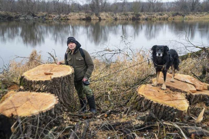 Przepisy prawne wycinka drzew