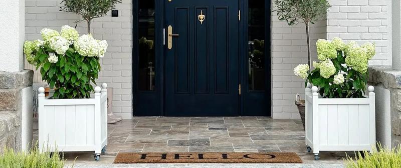 Funkcjonalność wejścia