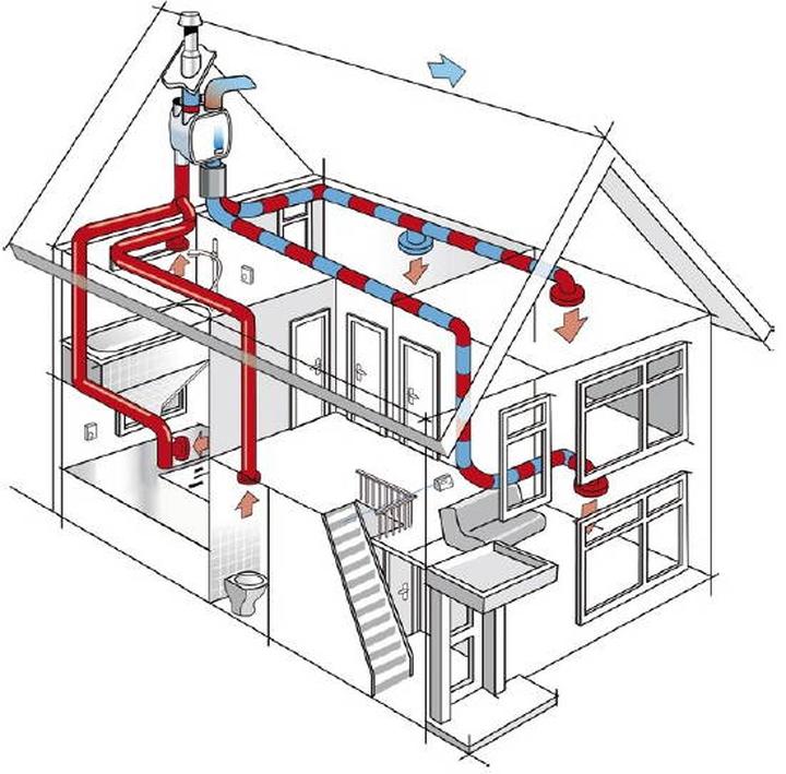 Zdrowe powietrze w domu