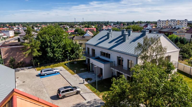 Adabet Golub właściwości i zastosowanie