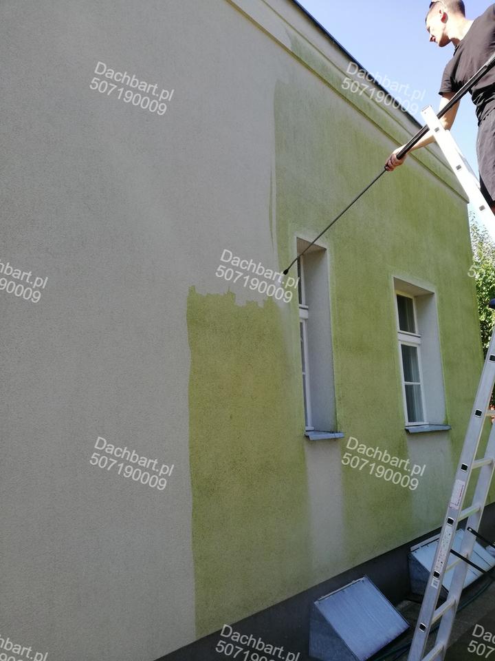 Bezpieczne środki czyszczące do elewacji