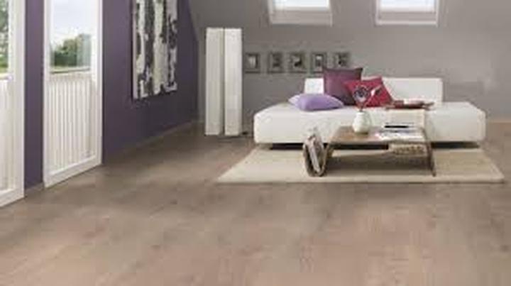 Właściwości zdrowotne Dębu Lakeland