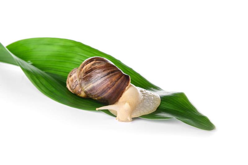 Naturalne środki czyszczące