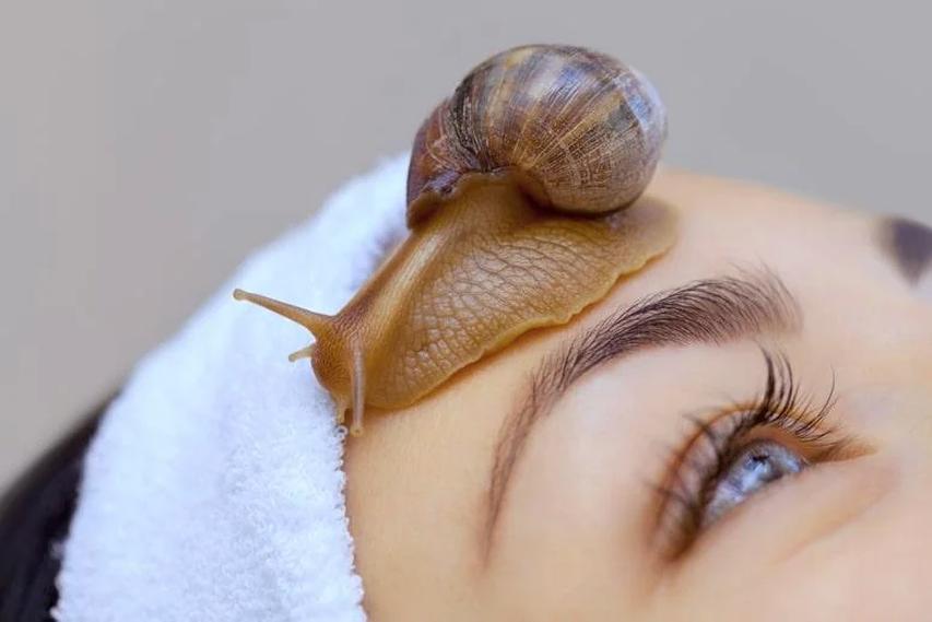 Regularne konserwacje