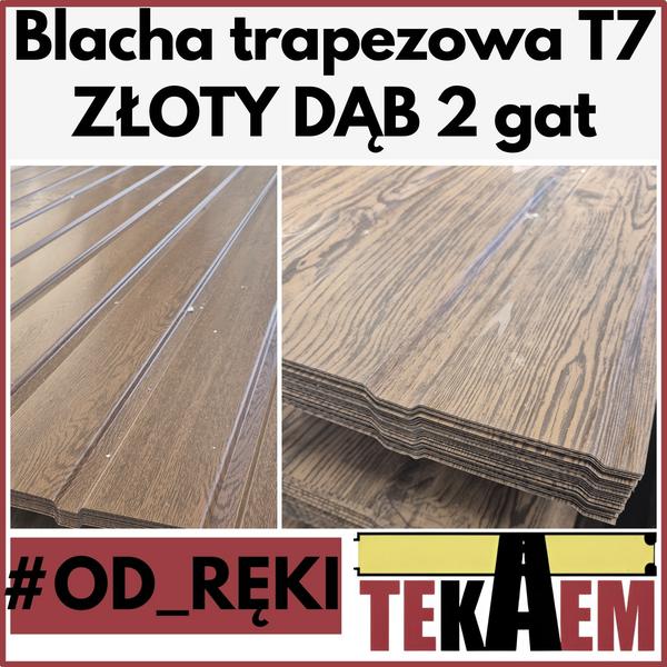 Kolor elewacji