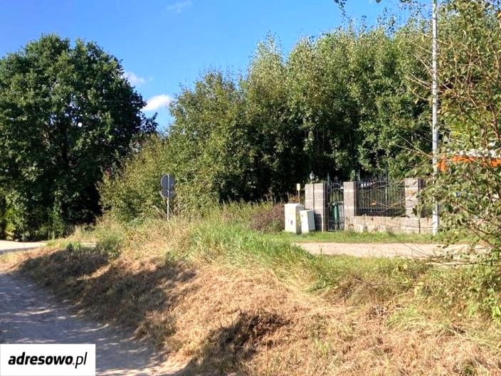 Samosiejki na działce budowlanej: jak usunąć je zgodnie z prawem